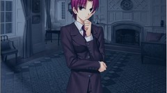 Type-moon fate series visual novels