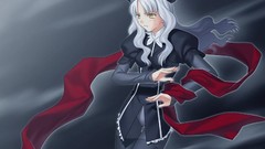 Type-moon fate series visual novels