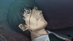 Type-moon fate series visual novels