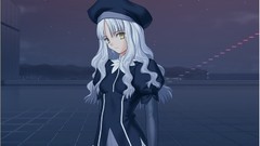 Type-moon fate series visual novels