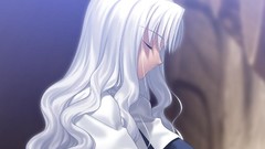 Type-moon fate series visual novels