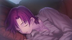 Type-moon fate series visual novels