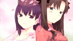 Type-moon matou sakura fate