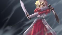 Type-moon saber fate series