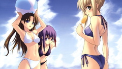 Type-moon saber matou sakura