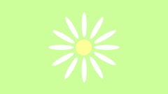 Typography Daisy minimalistic artwork