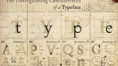Typography font alphabet drawings diagram anatomy typefaces
