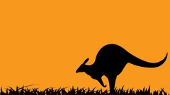 Typography orange background minimalistic artwork