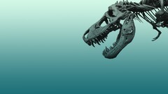 Tyrannosaurus Rex Simple Background Bones skeleton cyan Animals