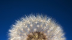 Ubuntu GNU/Linux Ubuntu 10.04 Lucid Lynx