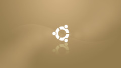 Ubuntu logo computer