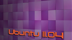 Ubuntu natty Narwhal computer