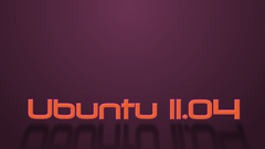 Ubuntu natty Narwhal computer