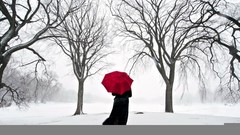 Umbrellas lonely Trees snow
