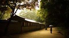 Umbrellas lonely walk
