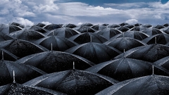 Umbrellas widescreen