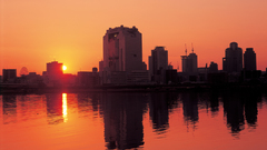 Umeda neighbourhood group of