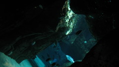 Under Sea underwater Aquarium