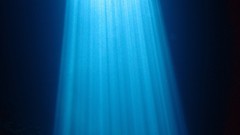 Underwater cape verde Brakona