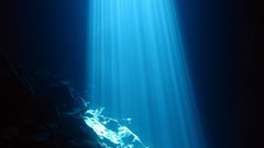 Underwater cape verde Brakona