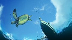 Underwater ocean ships turtles
