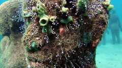 Underwater sculptures