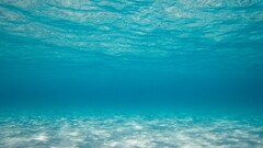 underwater Sea nature blue Turquoise cyan water