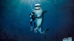Underwater Sharks funny