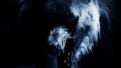 Underworld: Awakening Wolves