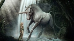 Unicorns artwork fantasy art