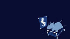 Unicorns rhinoceros