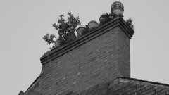 United Kingdom cities cumbria grayscale carlisle