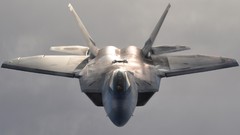 United States Air Force F-22 Raptor 302nd Fighter Squadron
