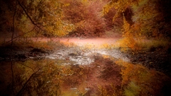 Universe not what faggot