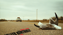 Unter kontrolle Movie David