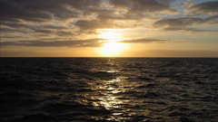 Untitled anyone Got This