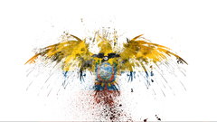 Untitled Ecuador high