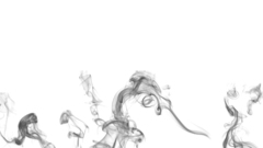 Untitled smoke here ya