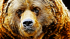 Untitled thought it look