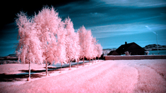 Up infrared by jonashhaugen