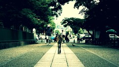 urban deer People traffic Mammals Trees City outdoors