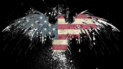 USA America eagle World