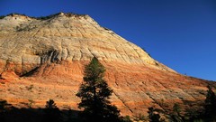 Utah checkerboard national park zion