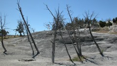Vacation Yellowstone National Park 2003 yellowstone hot springs 