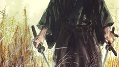 Vagabond samurai paint