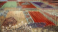 Valley high willamette Resolution