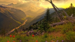 Valley itt photographs of