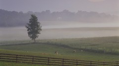 Valleys woodstock shenandoah