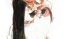 Vampire hunter d Yoshitaka