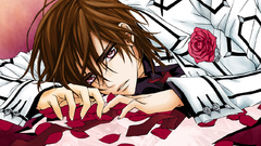 Vampire knight anime boys